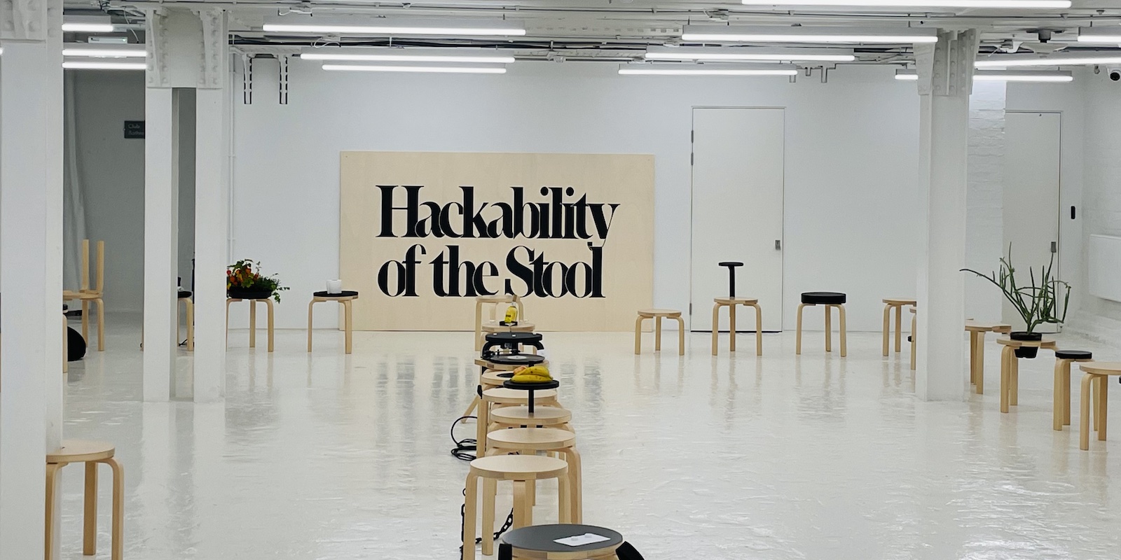LDF11