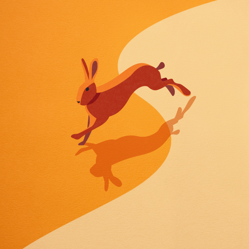 Applewood rabbit illustration
