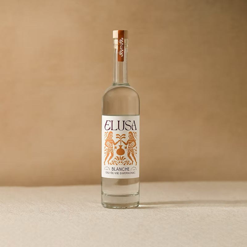 TC Elusa